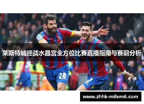 莱斯特城迎战水晶宫全方位比赛直播指南与赛前分析